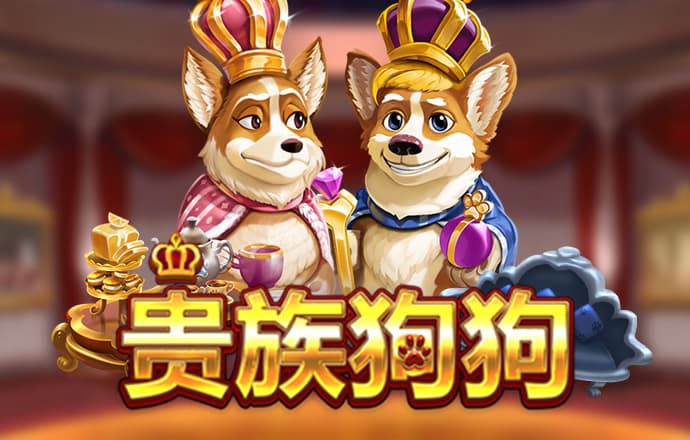 16877太阳集团app
