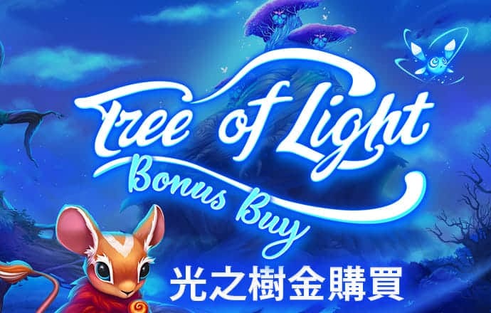 跟小猫做游戏
